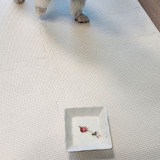 소중하비님이 올린 리뷰 사진 4
