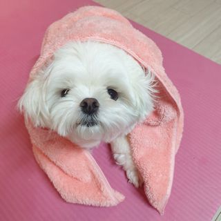 lala님이 올린 리뷰 사진 1