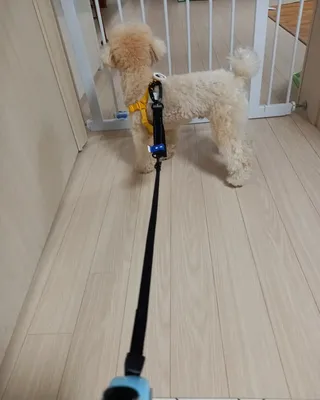 복덩이님이 올린 리뷰 사진 4