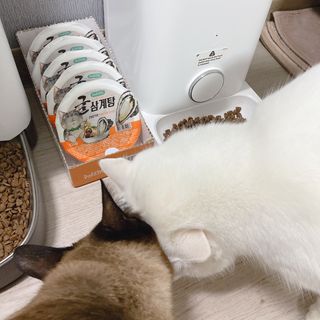 ojs226님이 올린 리뷰 사진 3