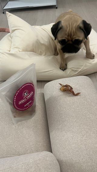 은때님이 올린 리뷰 사진 2