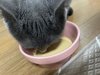 보리엄마님이 올린 리뷰 사진 4