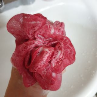 임토리님이 올린 리뷰 사진 3