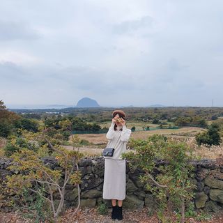 moonlight님이 올린 리뷰 사진 1