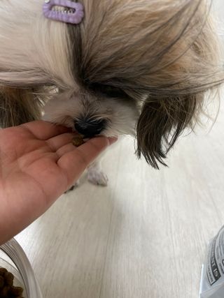 라라통통님이 올린 리뷰 사진 4