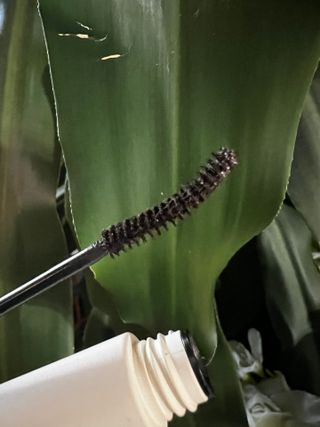 시모먼트 라이닝 컬 마스카라 — 5점을 준 리뷰어가 2022년 1월 올린 사용 사진