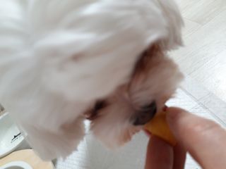 빛날Hwan님이 올린 리뷰 사진 4