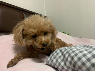메리츠화재 박새라님이 올린 리뷰 사진 2