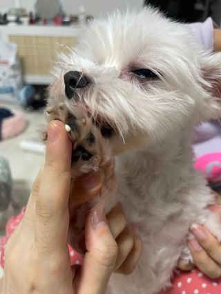 대바기님이 올린 리뷰 사진 4