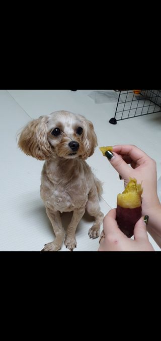아코맘님이 올린 리뷰 사진 1