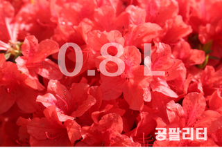 0.8L 마케팅팀 - — 5점을 준 리뷰어가 2021년 5월 올린 사용 사진