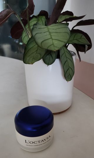 록타비아 Artisan Complete Face Cream — 5점을 준 리뷰어가 2023년 11월 올린 사용 사진