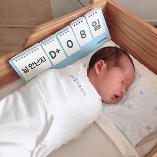 0.8L 마케팅팀 - — 5점을 준 리뷰어가 2021년 5월 올린 사용 사진
