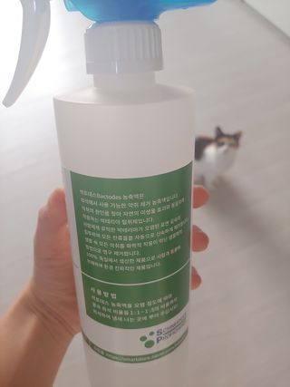 홍제이님이 올린 리뷰 사진 3