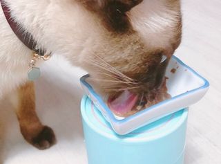 모닝스타님이 올린 리뷰 사진 4