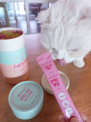 페페로니 잘 먹는 캣츄 - 무항생제 닭고기 12개 + 알래스카 연어 12개 — 5점을 준 리뷰어가 2021년 7월 올린 사용 사진
