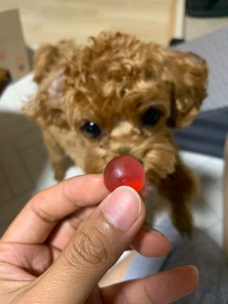 하이빈님이 올린 리뷰 사진 4