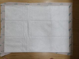아베크 펫 와이드 프리미엄 대형 애견 강아지 배변 패드 30매 1팩 80g — 5점을 준 리뷰어가 2021년 7월 올린 사용 사진