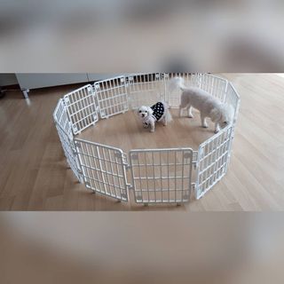 물끼님이 올린 리뷰 사진 1