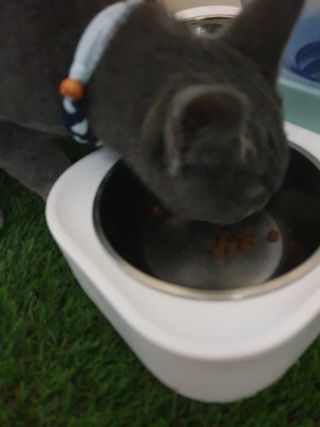 이승진님이 올린 리뷰 사진 3