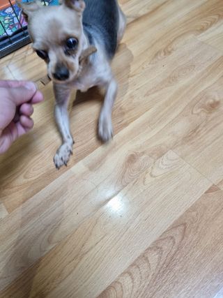 도도한그녀님이 올린 리뷰 사진 3