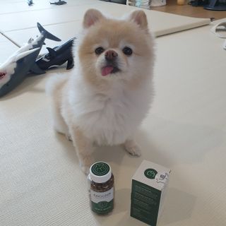 bangwoori님이 올린 리뷰 사진 1