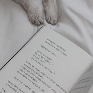 가을봉숙 정말잘지내나요사실난울고있는데 — 5점을 준 리뷰어가 2023년 2월 올린 사용 사진