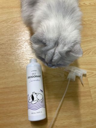 지혜정님이 올린 리뷰 사진 1