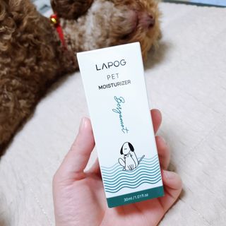 벼리님이 올린 리뷰 사진 1