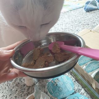 코코야옹님이 올린 리뷰 사진 3