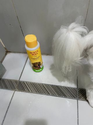 어거스트비님이 올린 리뷰 사진 2
