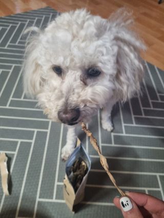 [보헤리] 국내산 강아지 육포간식 바삭 64 2종 — 5점을 준 리뷰어가 2022년 3월 올린 사용 사진