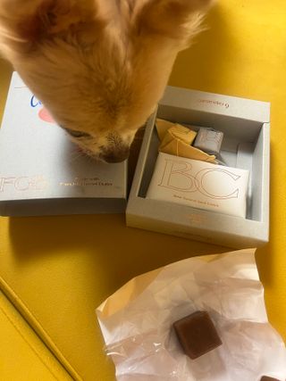 Lucy님이 올린 리뷰 사진 1