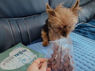 My Pet Care 천연단백질 눈건강에 개좋아 — 4점을 준 리뷰어가 2021년 2월 올린 사용 사진