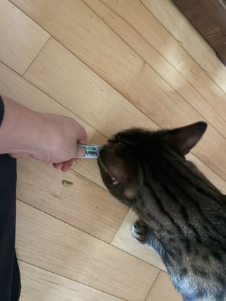 랑구마미님이 올린 리뷰 사진 2