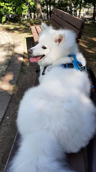 pie_chui님이 올린 리뷰 사진 1