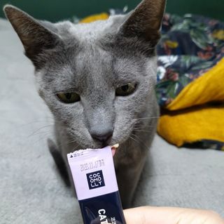 엘보리님이 올린 리뷰 사진 4