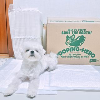 펭뽀꾸님이 올린 리뷰 사진 2