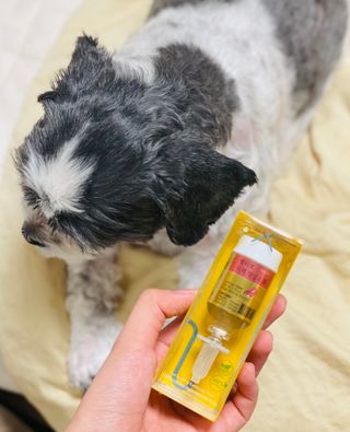 무지조타 반려동물용 꽃으로만든영양제 헬리코디펜스 15ml — 3.5점을 준 리뷰어가 2021년 8월 올린 사용 사진