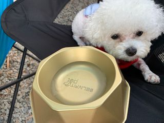 [세싹보울] 세균 싹~ 사라지는 셀앤핏 펫 항균동 애견식기 — 5점을 준 리뷰어가 2021년 7월 올린 사용 사진