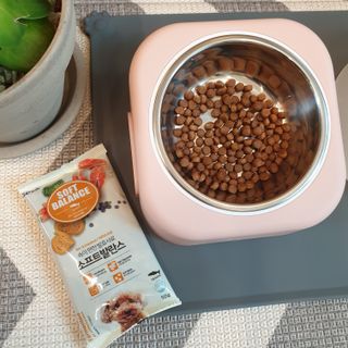 씨디랩 속이 편한 강아지 사료 소프트발란스 기호성 좋은 발효사료 피부와 위장 관절과 위장 — 5점을 준 리뷰어가 2021년 3월 올린 사용 사진