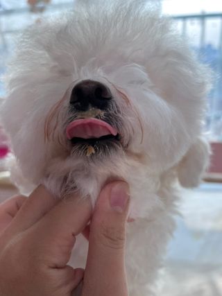 비니주니맘 :D님이 올린 리뷰 사진 4