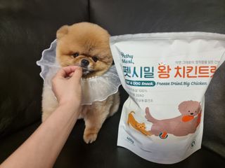 아롱이님이 올린 리뷰 사진 2