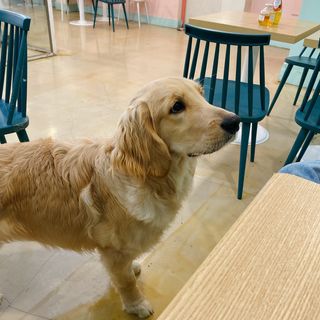 옐스님이 올린 리뷰 사진 4