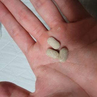 슬림플래닛 녹차카테킨 500mg 애프터밀 — 5점을 준 리뷰어가 2021년 3월 올린 사용 사진