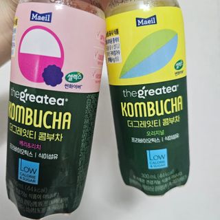 더그레잇티 콤부차 [매일유업] 더그레잇티 44kcal 콤부차 300ml *12개입 (오리지널 6개+베리리치 6개) — 5점을 준 리뷰어가 2023년 8월 올린 사용 사진