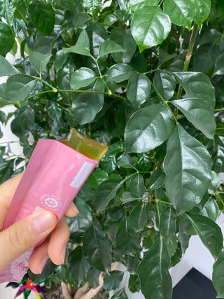 주식회사 얼굴반쪽 [얼굴반쪽 가르시니아 2,800mg] x 14포 1주 젤리 다이어트 보조제 체지방감소 — 4점을 준 리뷰어가 2021년 11월 올린 사용 사진
