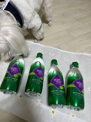 몽베스트 Montbest with Sparkling water Lime20병 — 5점을 준 리뷰어가 2022년 12월 올린 사용 사진
