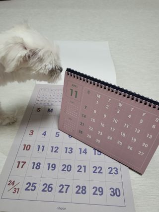 뽀오오옹님이 올린 리뷰 사진 2