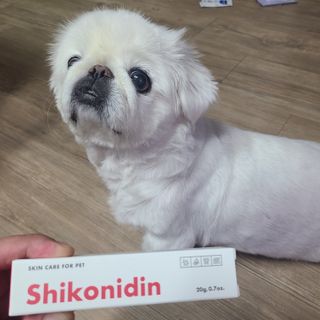 [자유펫] 시코니딘 고양이 강아지 피부 보습 연고 20g — 5점을 준 리뷰어가 2021년 10월 올린 사용 사진